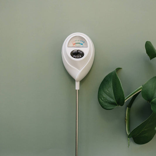 XL Plant Moisture Meter | Houseplant Tool | Accessory