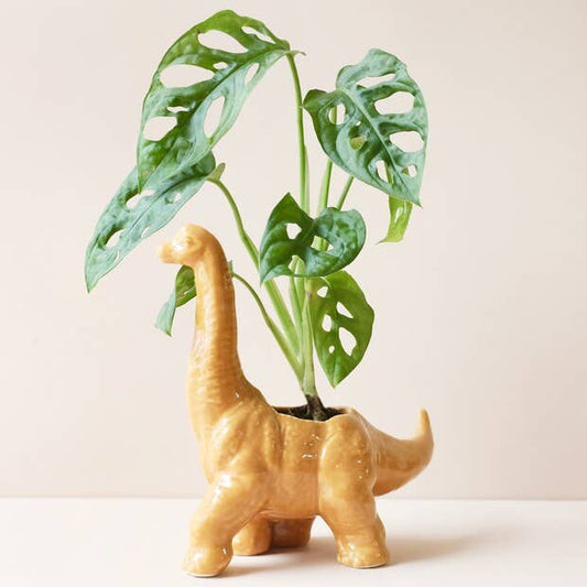 Mustard Diplodocus Dinosaur Planter