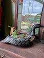 Loon Planter & Plants