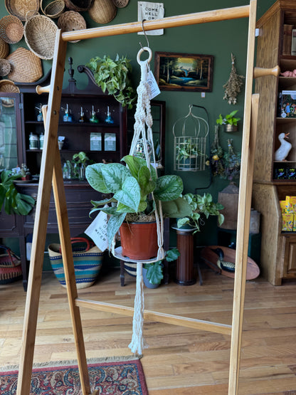 Classic Macrame Plant Hanger with Disco Ball