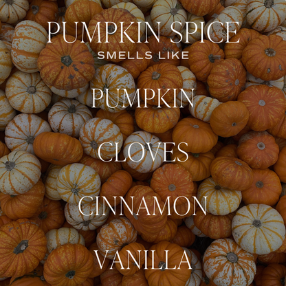 *NEW* Pumpkin Spice 9 oz Soy Candle - Fall Home Decor, Gifts