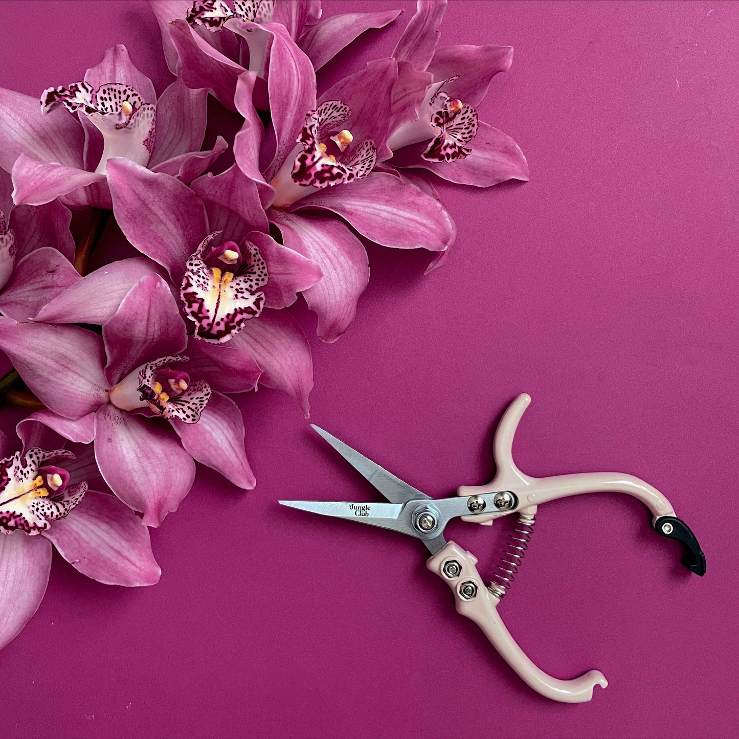 Pruning Shears - Vanilla