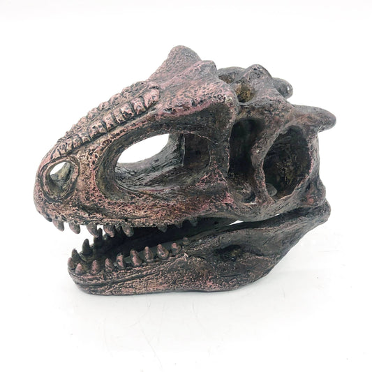 Faux Carnotaurus Mini Dinosaur Fossil Skull