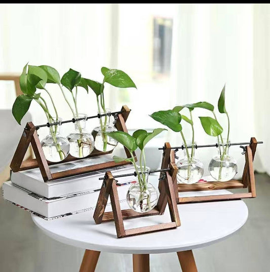 Hydroponic Planter, Flower Pot, Mini Plant