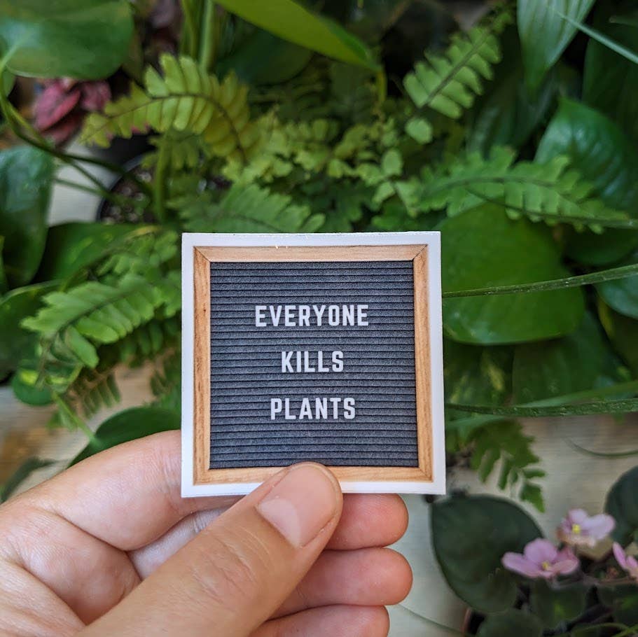 "Everyone Kills Plants" Sticker | Houseplant Sticker